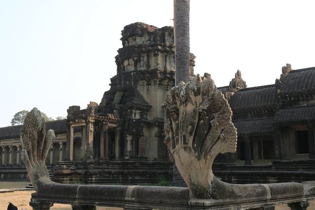 The Tranquil Beauty of Angkor Wat