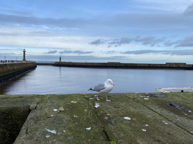 Whitby Harbour:Maritime Elegance on Yorkshire