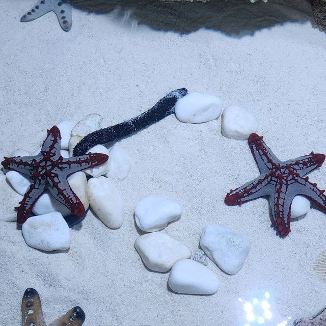 Aquarium in Qatar