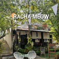 RACHA MEOW 🥤🐱