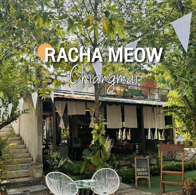 RACHA MEOW 🥤🐱