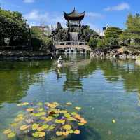 🌸福州園🌸繁華城市中的一片綠洲