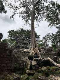 Life changing Angkor Wat, A Real World Wonder 🇰🇭 🛕 