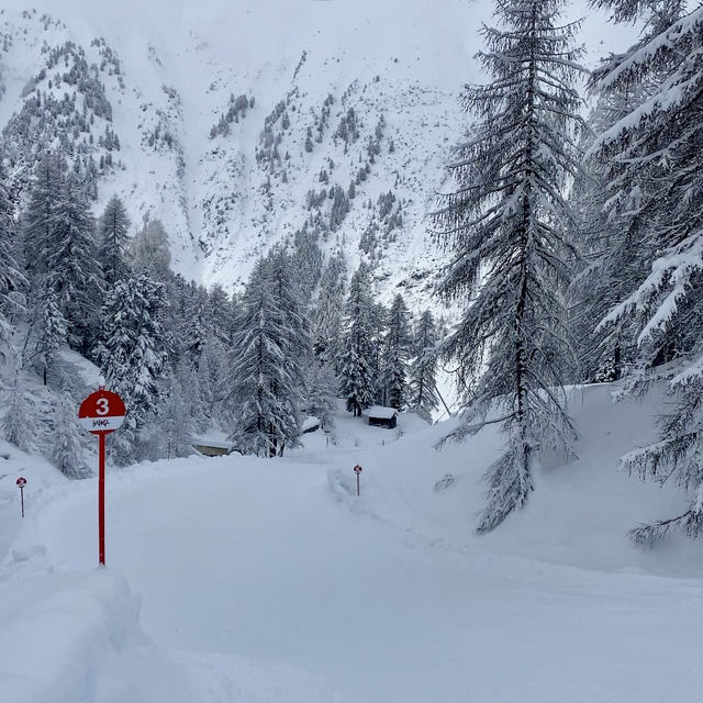 A Week of Skiing Bliss ❄️