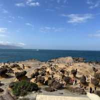 Taiwan’s mysterious stones: Yehliu Geopark