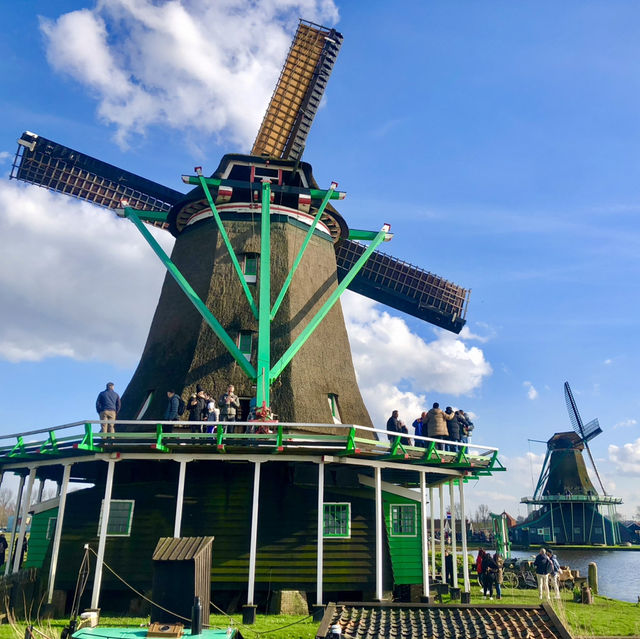荷蘭🇳🇱令人無法抗拒的打卡景點Zaanse Schans風車村