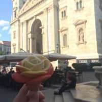 Exploring Budapest 