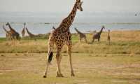 WHAT TO EXPECT WHEN YOU VISIT UGANDA