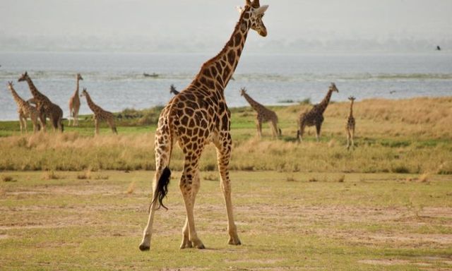 WHAT TO EXPECT WHEN YOU VISIT UGANDA