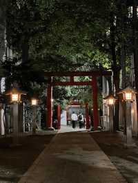 Hidden Shinjuku gems! 