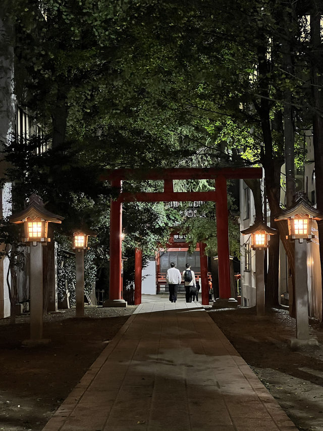 Hidden Shinjuku gems! 
