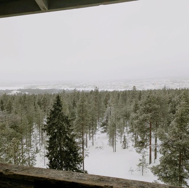 Living the Bucket List: Arctic Magic in Finland 🇫🇮