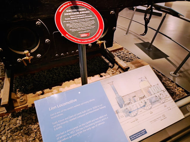 🖼️ A Deep Dive into the Liverpool Museum – Unveiling the City’s Rich History and Culture