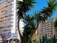 Malaga's Vibes