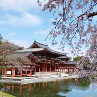 A sacred power spot that has been worshipped since ancient times
