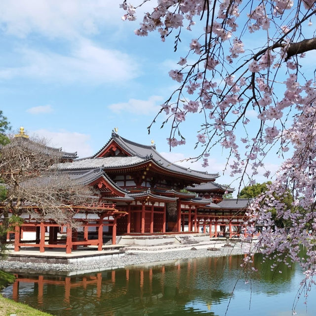 A sacred power spot that has been worshipped since ancient times