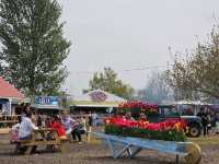 A Lovely Spring Day at Tulley's Tulip Farm, Hatton