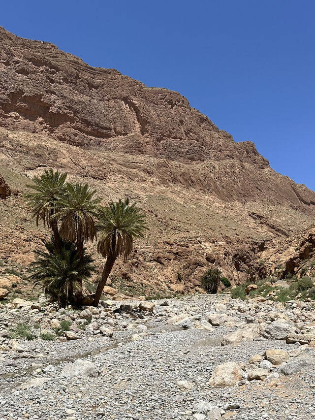 Todra and Dades Gorges