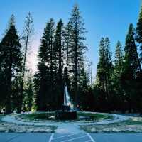 🏕️ Where to Stay in & Around Yosemite National Park 🏞️