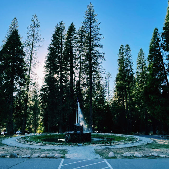 🏕️ Where to Stay in & Around Yosemite National Park 🏞️