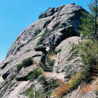 🏔️ Kings Canyon National Park: California’s Underrated Wild Wonder