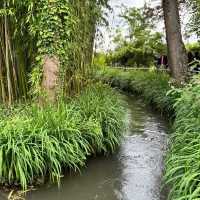 走訪吉維尼小鎮、莫內故居及花園