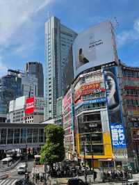 🗼 Where to Stay in Tokyo (First-Time Visitors)