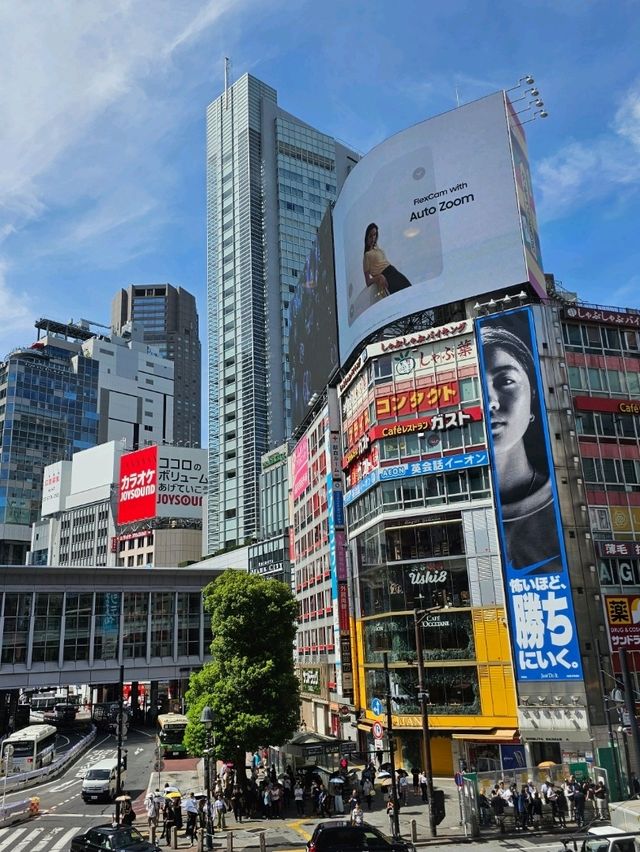 🗼 Where to Stay in Tokyo (First-Time Visitors)