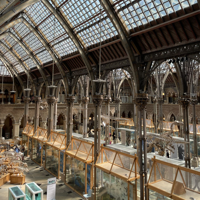 🦕🏛️ Explore Oxford’s Free Natural History Museum! 🇬🇧✨