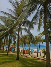 Morning Vibes at My Khe Beach, Da Nang