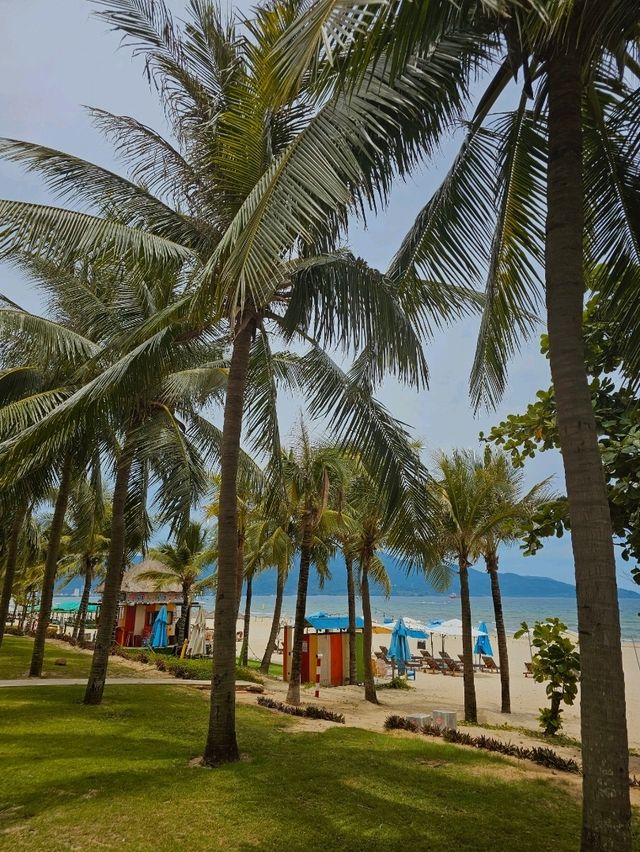 Morning Vibes at My Khe Beach, Da Nang