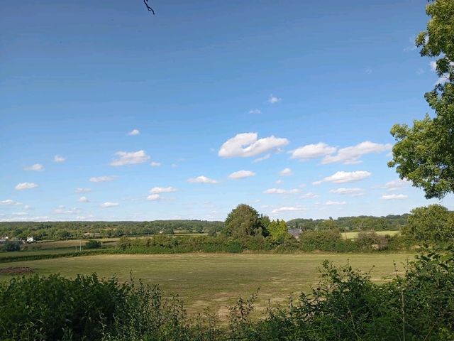 Dewstow Estate Caldicot, Highmoor Hill and Slade Wood 