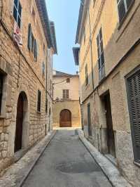 Day Trip from Palma to Soller 