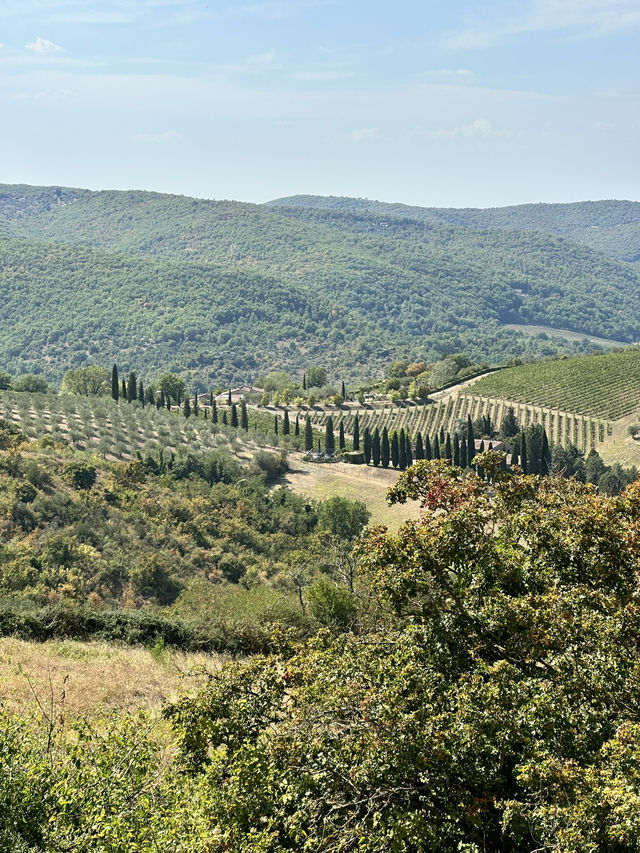 Discover the Italian vineyards of Rada in Chianti!