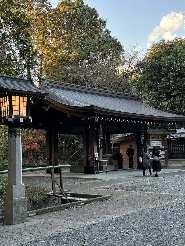 Japan Itinerary 9: Tokyo art, street, gardens and shrines