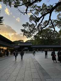 Tokyo and Kyoto: where pop culture, street food, and peaceful shrines collide