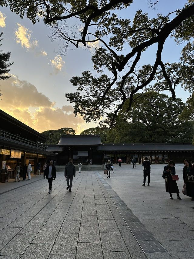 Tokyo and Kyoto: where pop culture, street food, and peaceful shrines collide