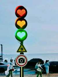 🚦❤️ Zhuhai is full of surprises