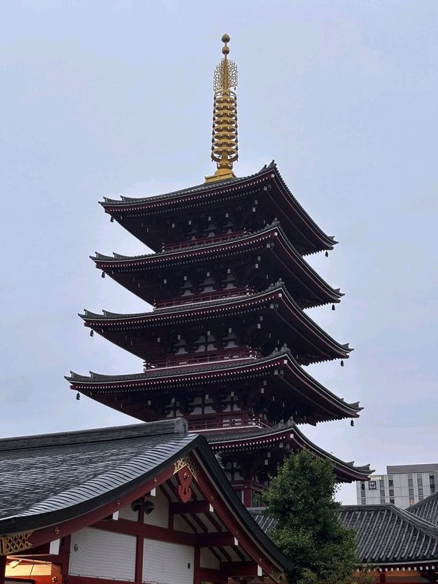 Top Tokyo Spots to Explore 🌸🏙️