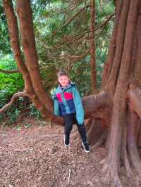 Belsay Hall, Castle and Gardens