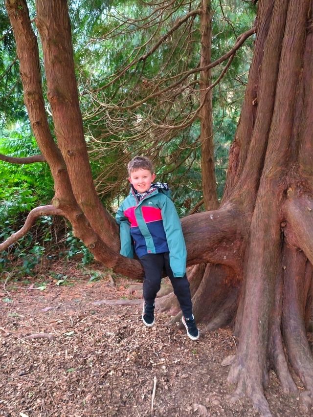 Belsay Hall, Castle and Gardens