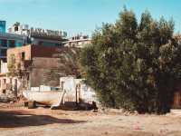 Hurghada – Egypt’s Red Sea Paradise