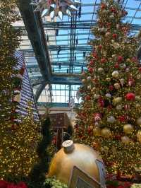 Bellagio’s Wonderland Blooms in Vegas Magic ✨