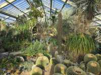 Royal Botanic Gardens, Kew