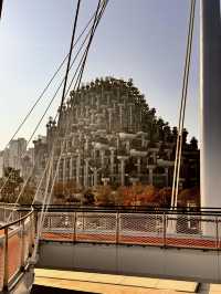 Shanghai Day Trip Itinerary