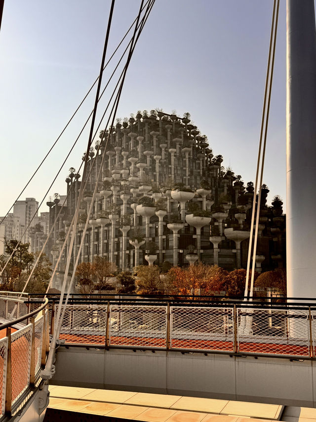 Shanghai Day Trip Itinerary