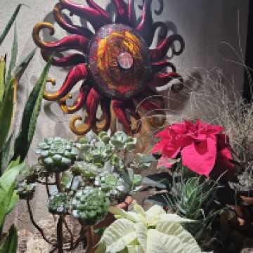 Muttart Conservatory