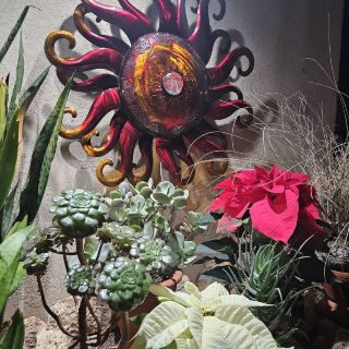 Muttart Conservatory