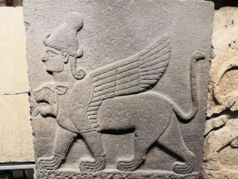 #winterescape Soar Above Avanos on a Microlight Adventure 🚀✨  
If you’re after a jaw-dropping way to experience Cappadocia’s wonder, the Cappadocia Microlight at Müze Otoparkı is your ticket to bird’s-eye bliss! Glide over fairy chimneys, ancient valleys, and surreal landscapes that make every second feel magical—plus, the thrill of flight is unmatched.

Recommended Route & Must-Do:  
Start your journey from Paşabağları Müze ve Ören Yeri Otoparkı—this spot is easy to find and perfect for meet-up logistics. Choose a morning flight for softer light and less wind (the take-off is truly exhilarating). As you ascend, the pilot will whisk you right over Avanos’s highlights, so keep your camera close for those close-up magic moments.

Insta-Worthy Angles:  
Snap dramatic shots with the stone chimneys below and sweeping valleys stretching out endlessly—those aerial views are irresistible! Ask for a shot mid-flight with your aviator goggles on for extra flair.

Practical Visiting Tips:  
Arrive at least 30 minutes before your booking; safety checks and a quick briefing are a must. Wear snug clothes, no sandals (think secure sneakers). If you’re nervous, mention it—the crew is super friendly and will calm you down. Morning flights sell out quickest, so book early via trip.com and NOT last minute. The parking is free, and Müze Otoparkı is well-signed.

Precautions:  
Avoid flights if you’re prone to motion sickness—a light snack beforehand helps. Weather can change fast, so pack a windproof jacket. Don’t carry loose items (phones, hats) in the open cockpit.

#Cappadocia #Avanos #Microlight #TravelTips #AerialAdventure