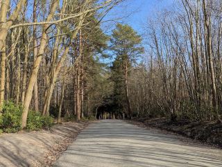 Bedgebury National Pinetum and Forest